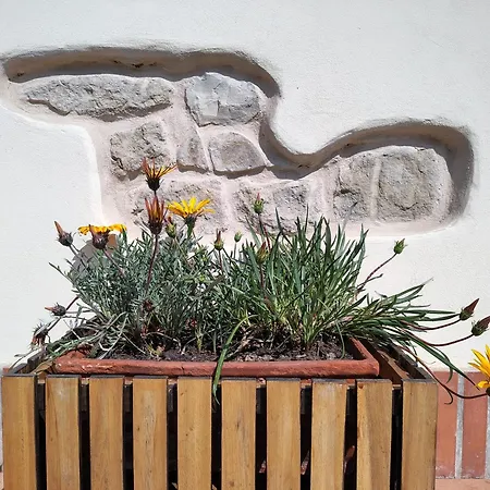 Monte Adone * Monzuno