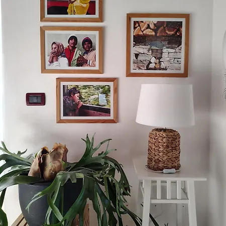 Monte Adone * 몬주노