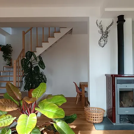 Monte Adone 홈스테이 몬주노